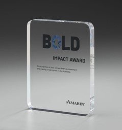 Zeige Details für Levity Acryl Award  Bild von Levity Acryl Award